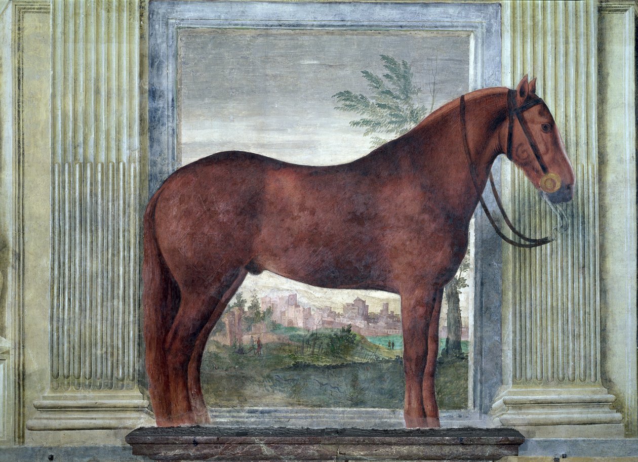 Sala dei Cavalli, (detalle) mostrando un retrato de un caballo castaño de los establos de Ludovico Gonzaga III de Mantua, su mejilla marcada con una 
