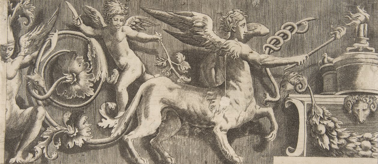Friso de Ornamento con Centauro Alado de Giulio Bonasone