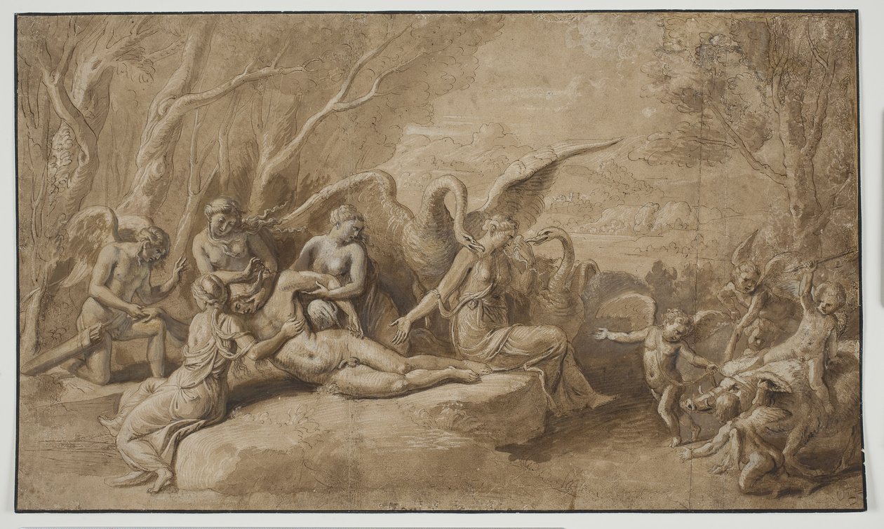 Venus lamentando la muerte de Adonis de Giulio Romano