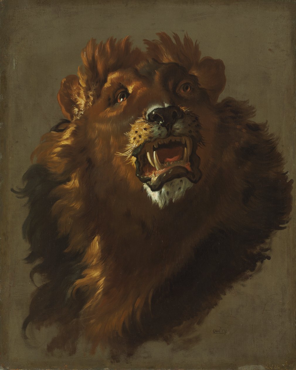 León de Giuseppe Baldrighi