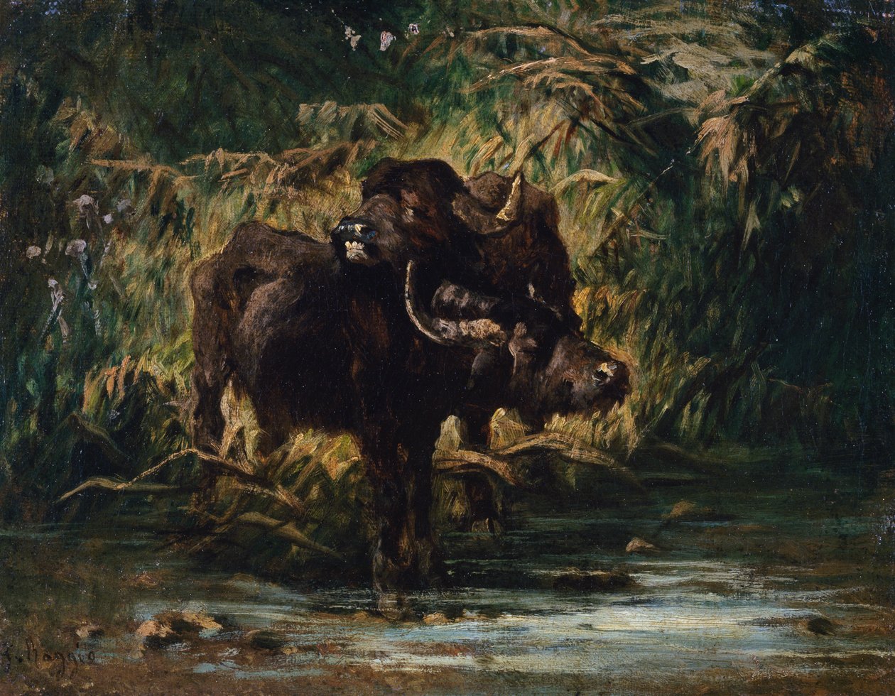 Búfalos jóvenes de Giuseppe Raggio