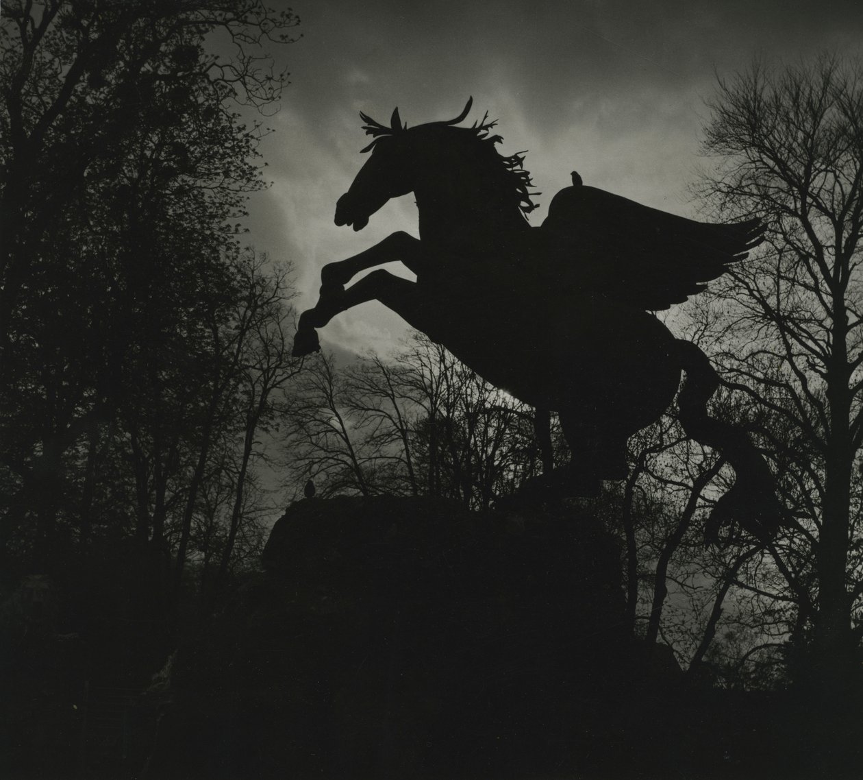 Estatua de Pegaso en los jardines de Mirabell de Godfrey Macdominic
