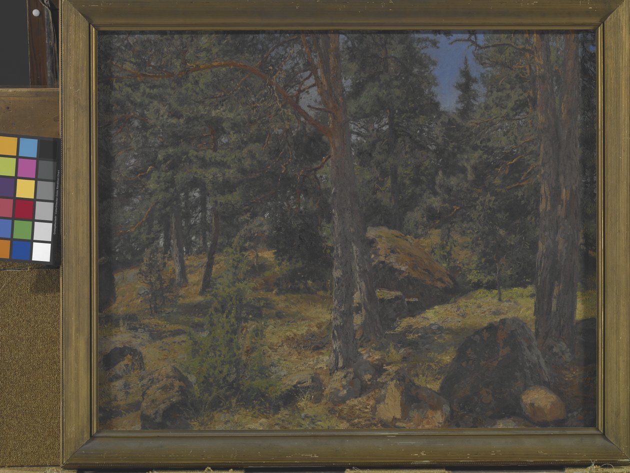 Un banco de abetos (óleo sobre lienzo) de Gottfried Kallstenius