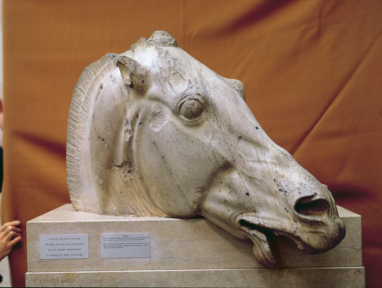 Cabeza de un Caballo de Selene de Greek