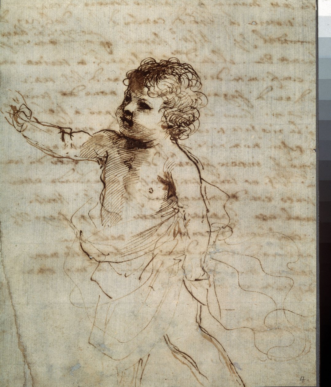 Imagen desconocida de Guercino