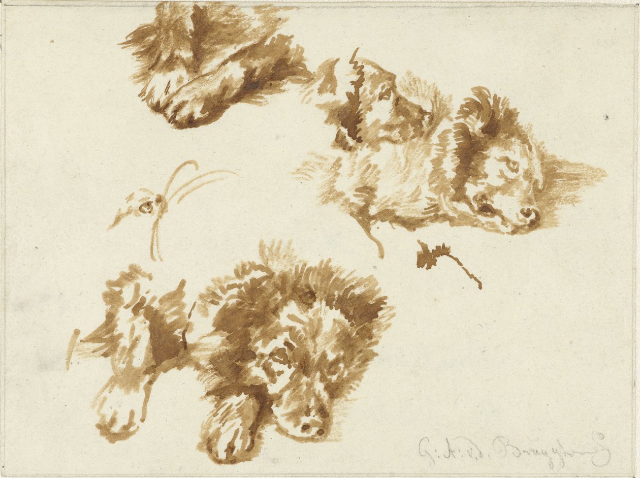 Estudios de un perro de Guillaume Anne van der Brugghen