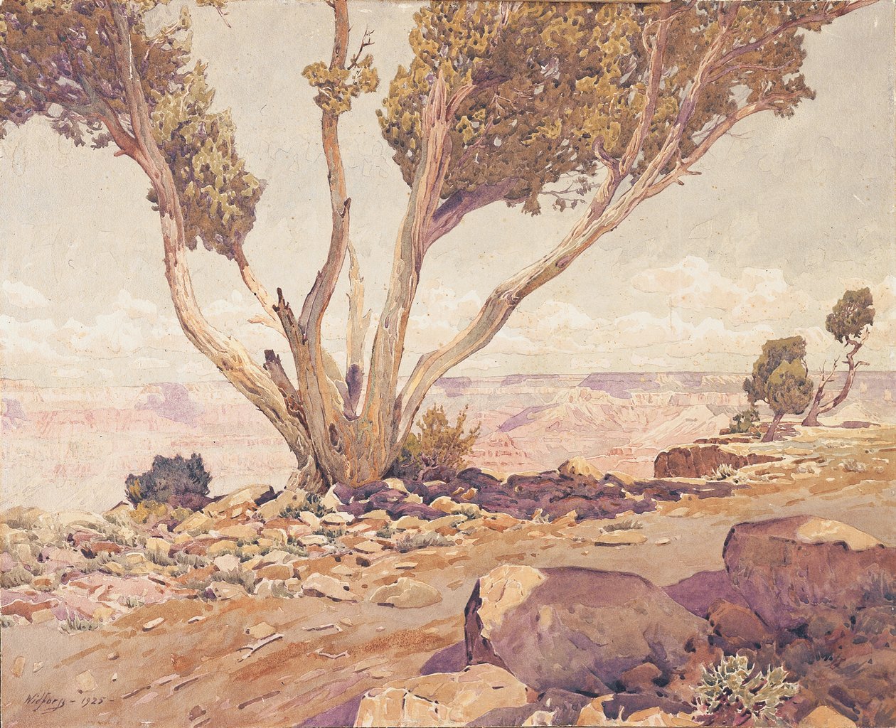 Gran Cañón de Gunnar Widforss