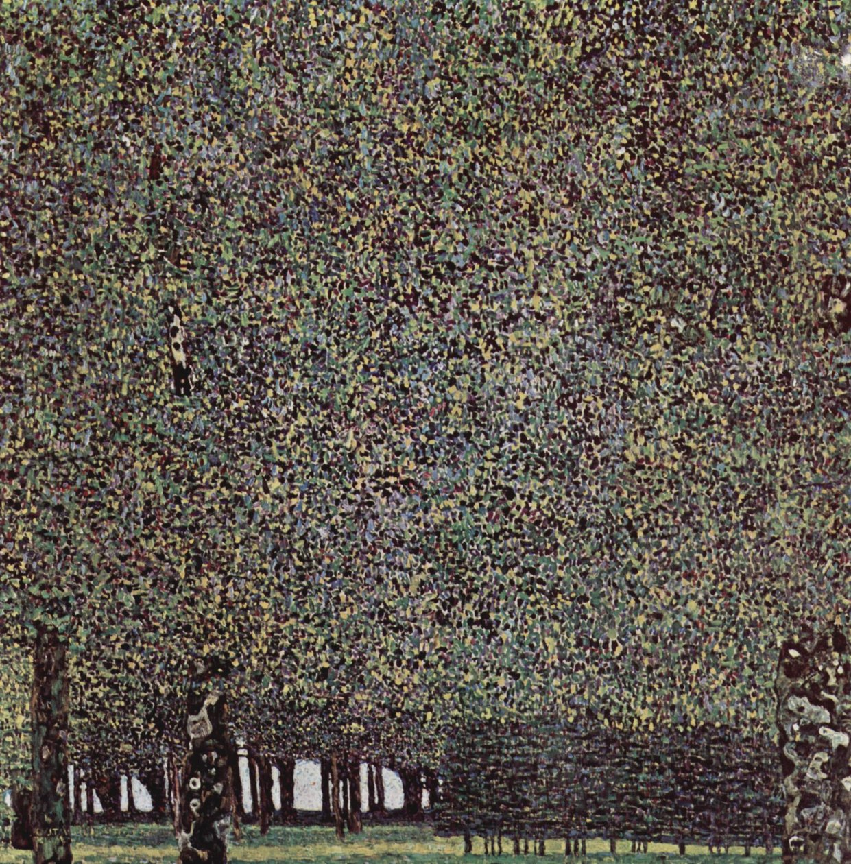 El parque de Gustav Klimt