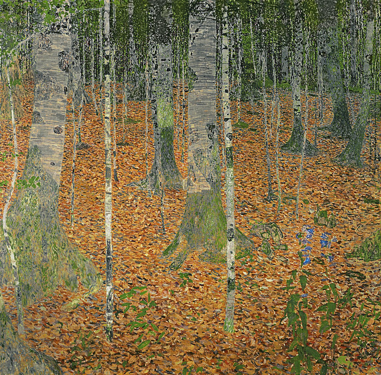 El bosque de abedules, 1903 de Gustav Klimt
