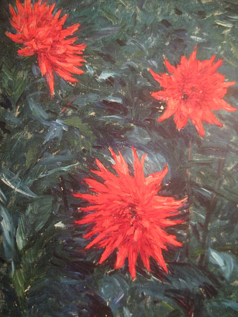 Dalias Cactus Rojas (1892) de Gustave Caillebotte