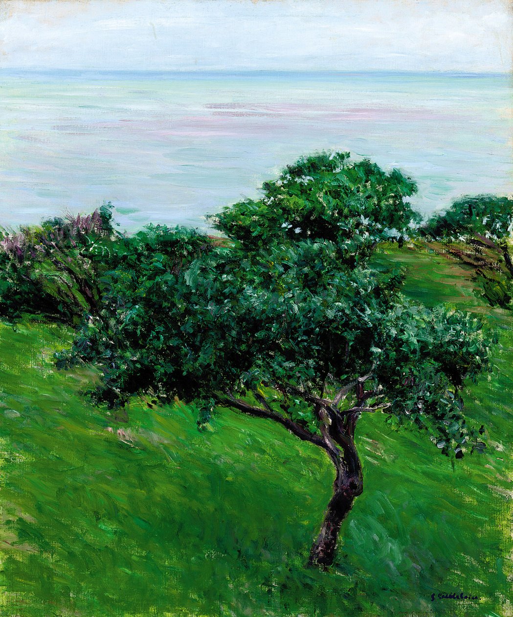 Manzanos junto al mar, Trouville, 1880 de Gustave Caillebotte