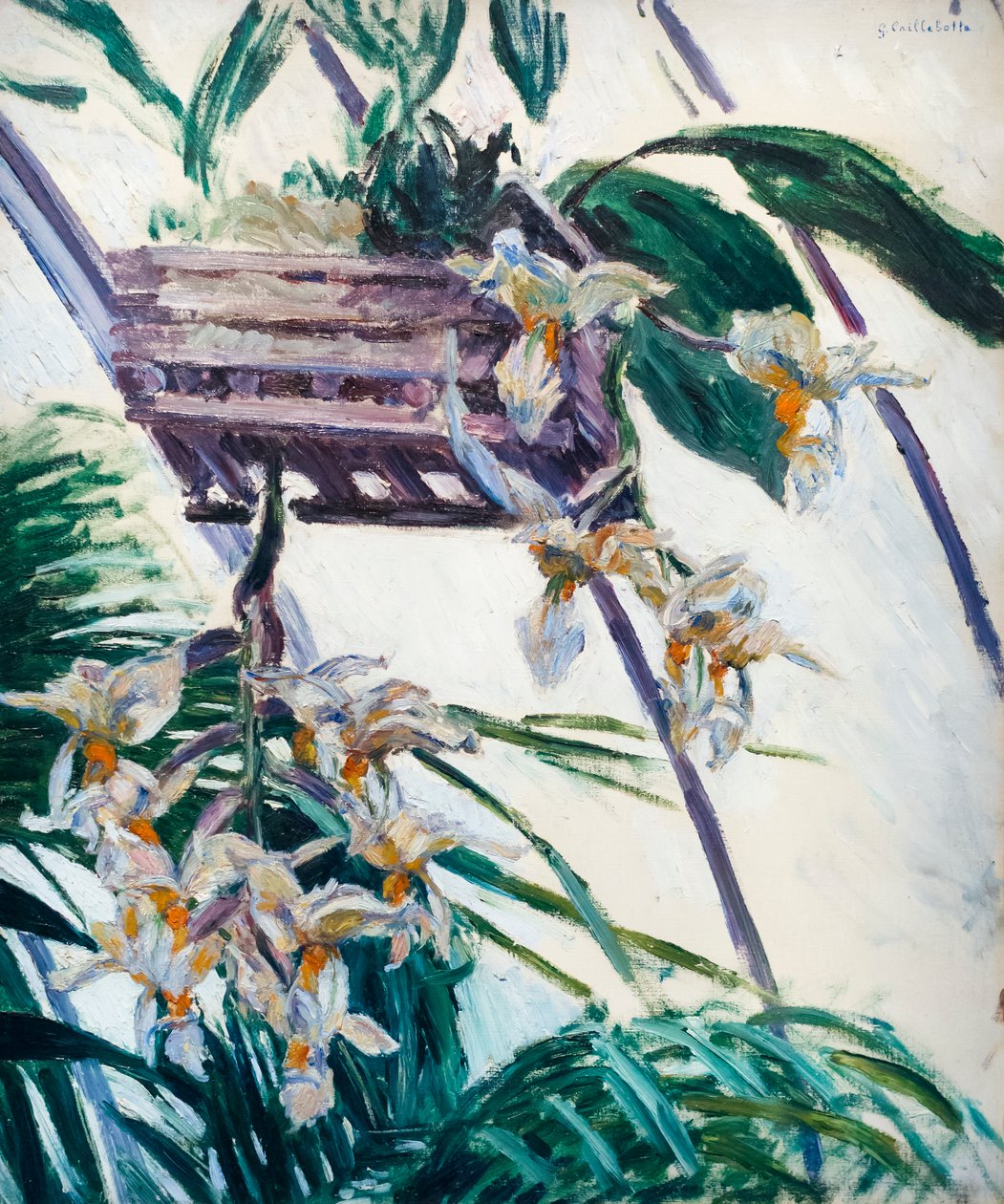 Orquídeas, c. 1893 (óleo sobre lienzo) de Gustave Caillebotte