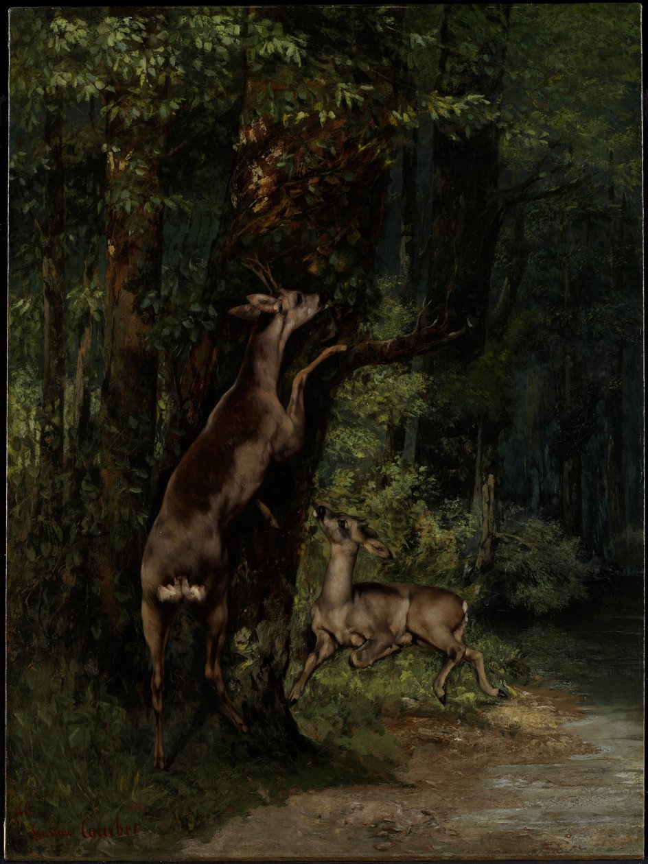 Ciervos en el bosque de Gustave Courbet