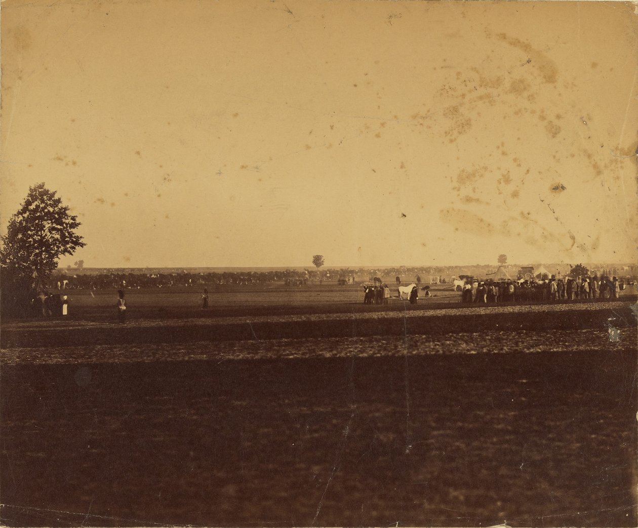 [Camp de Chalons] de Gustave Le Gray