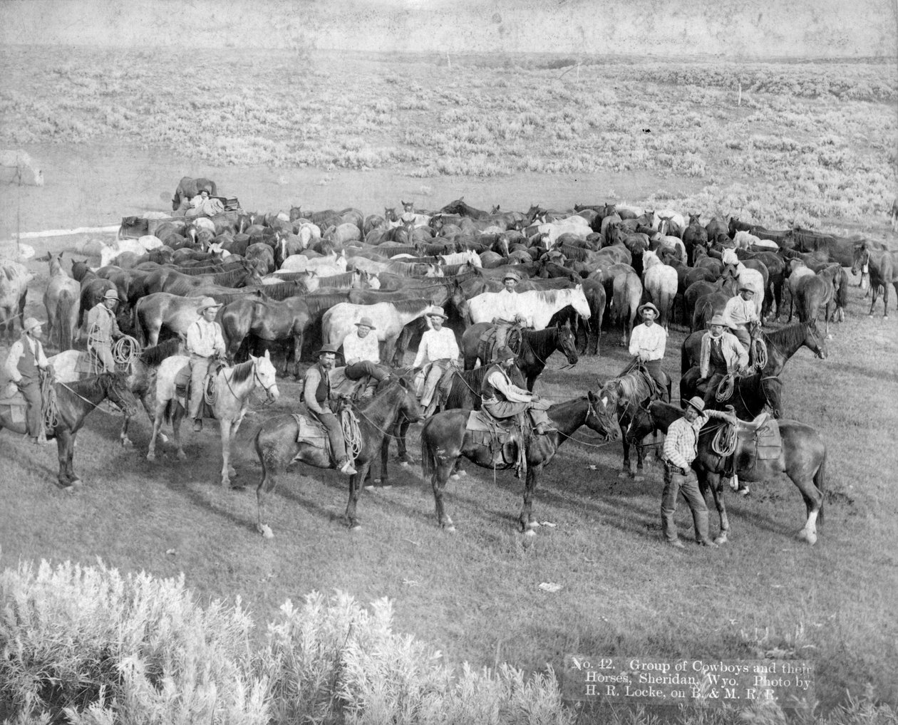 Grupo de vaqueros y sus caballos, Sheridan, Wyoming, c.1890 de H. R. Locke
