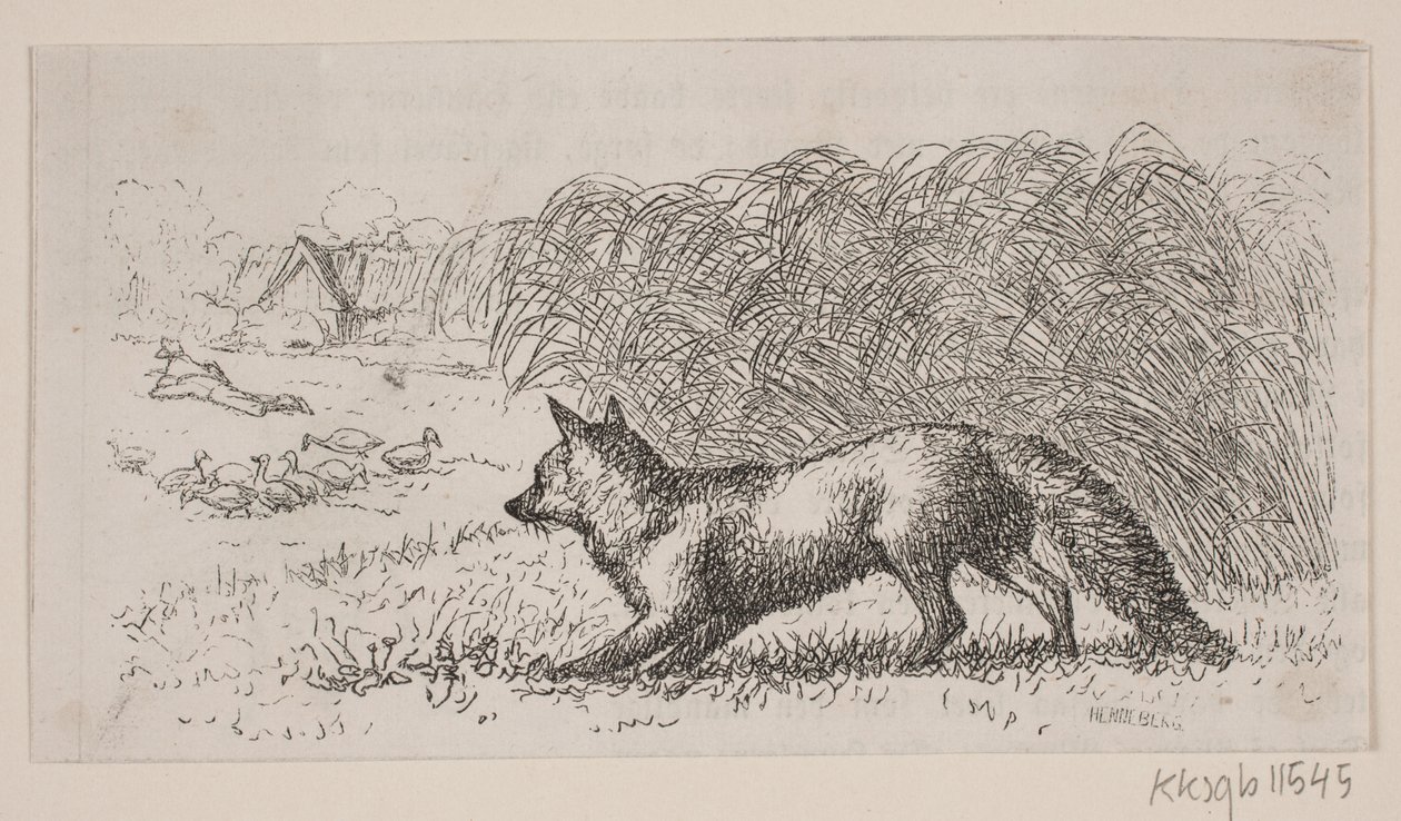 Ilustración para: "Hr. Mikkel" de H. C. Henneberg