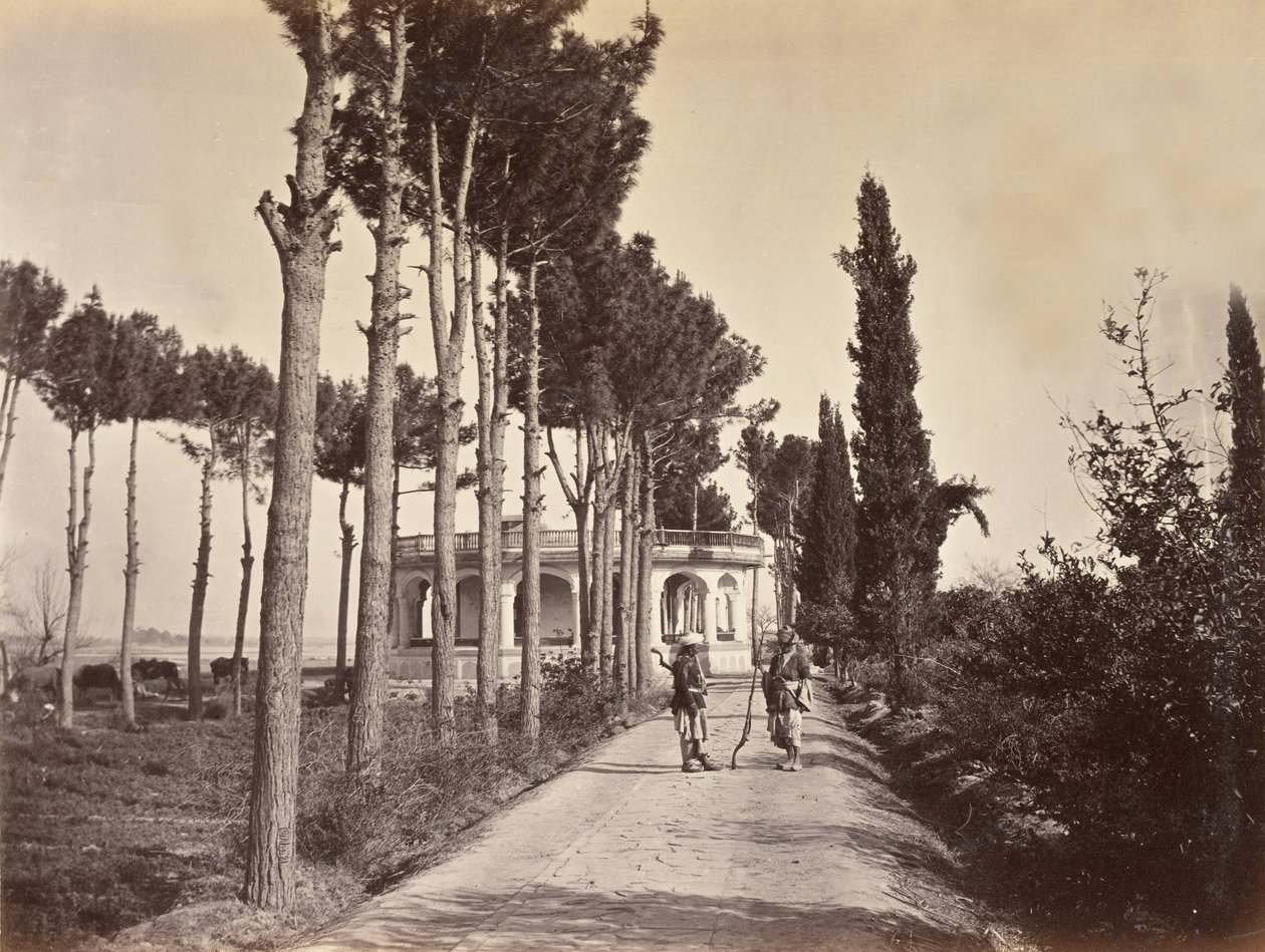 Afganos en los jardines de Babur, Jalalabad, 1878 de H. Charuis