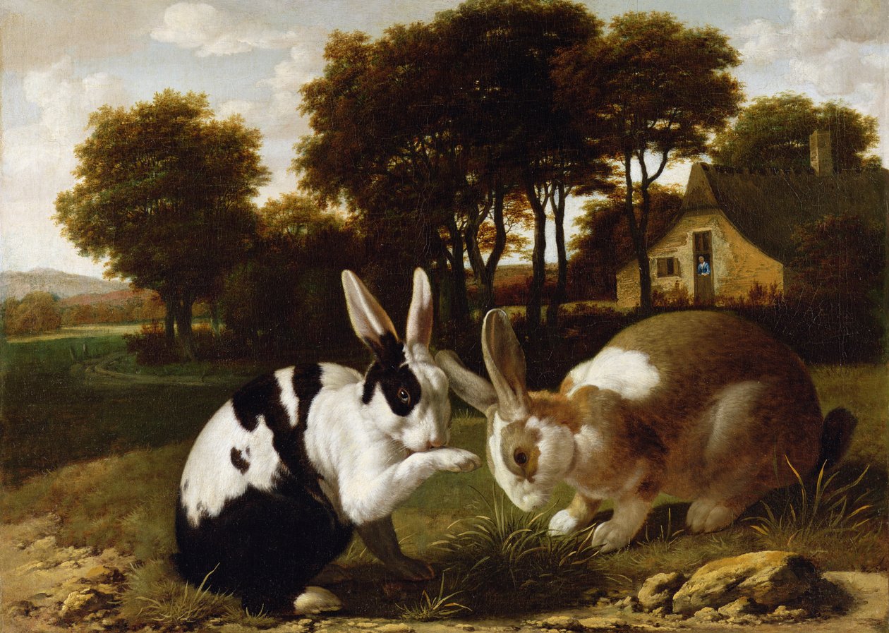 Dos conejos en un paisaje, c.1650 de Haarlem School