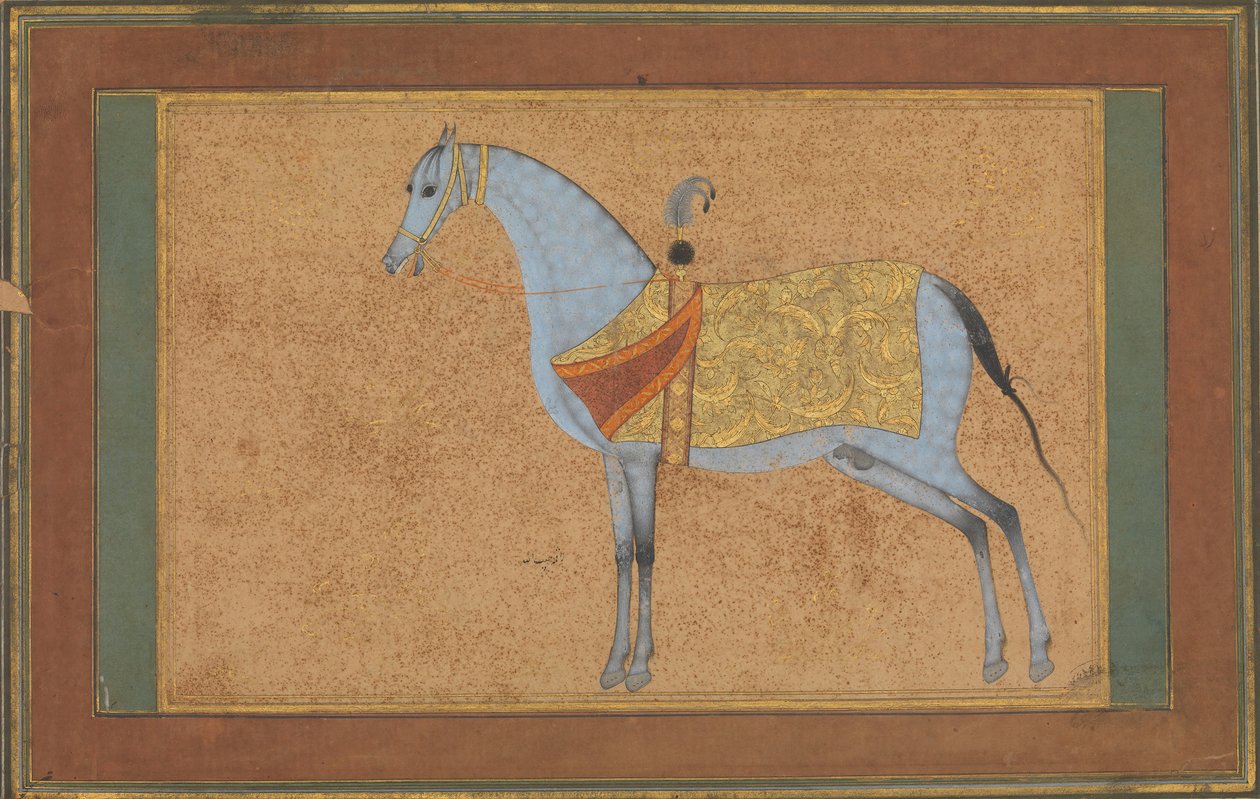 Un Semental de Habiballah of Sava