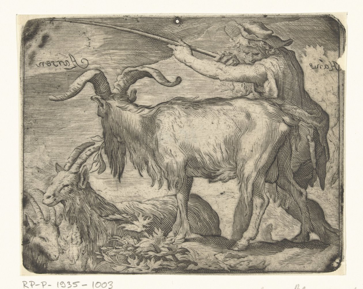Niño con cabras de Hans Aarsen (signed by artist)