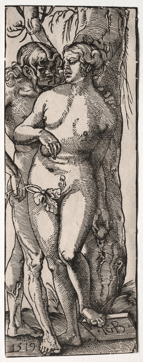 Adam and Eve de Hans Baldung