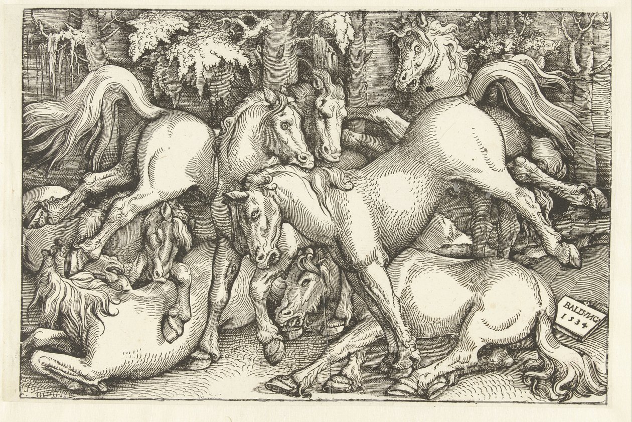 Grupo de siete caballos de combate de Hans Baldung Grien
