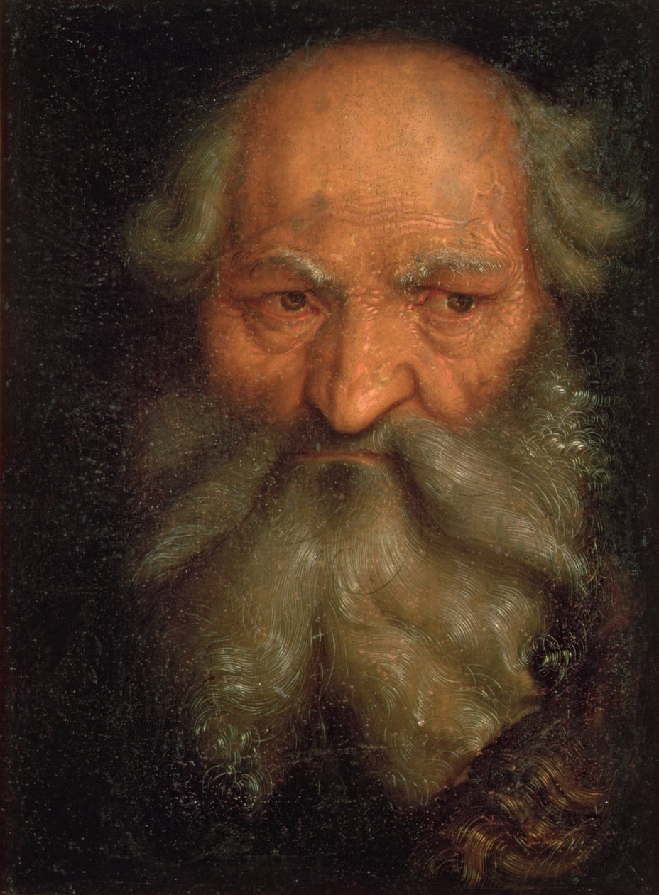Cabeza de un Hombre Viejo de Hans Baldung Grien