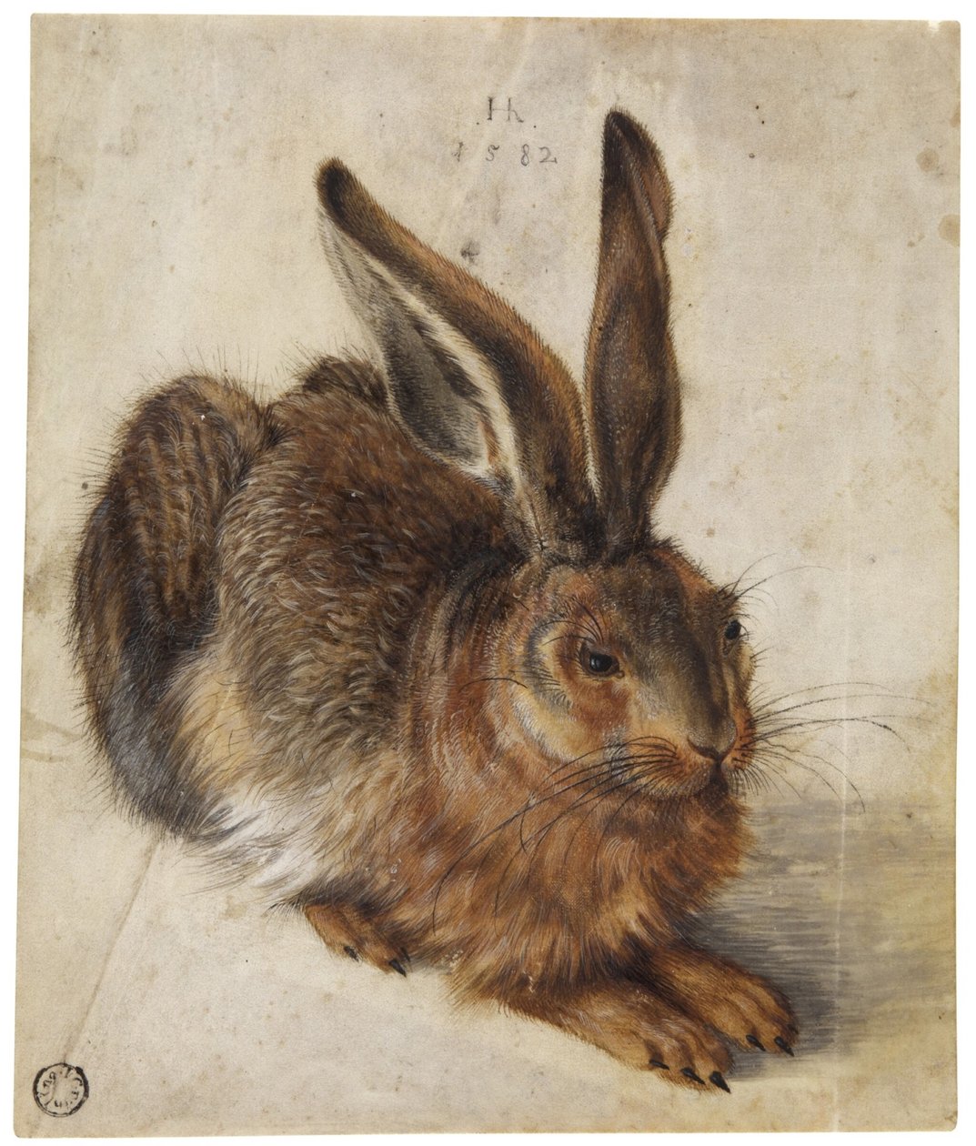 Una liebre de Hans Hoffmann
