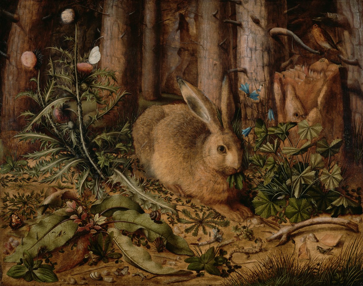 Una liebre en el bosque de Hans Hoffmann