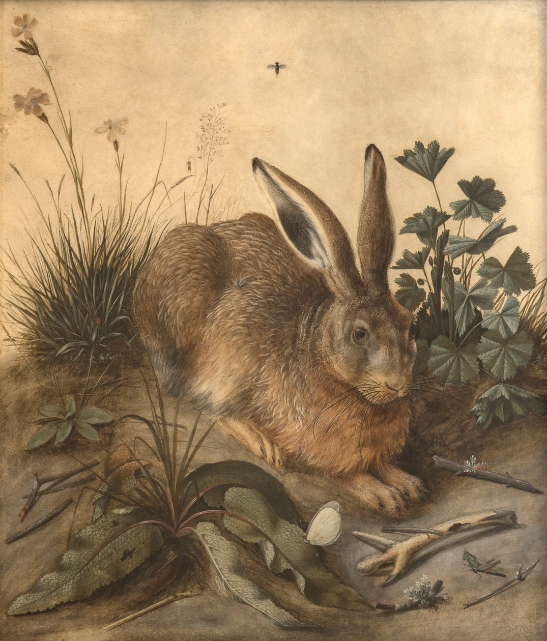 La liebre de Hans Hoffmann