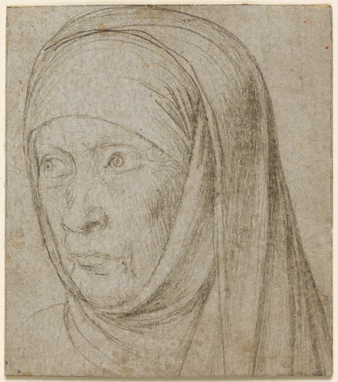 Head of an Old Woman de Hans Holbein