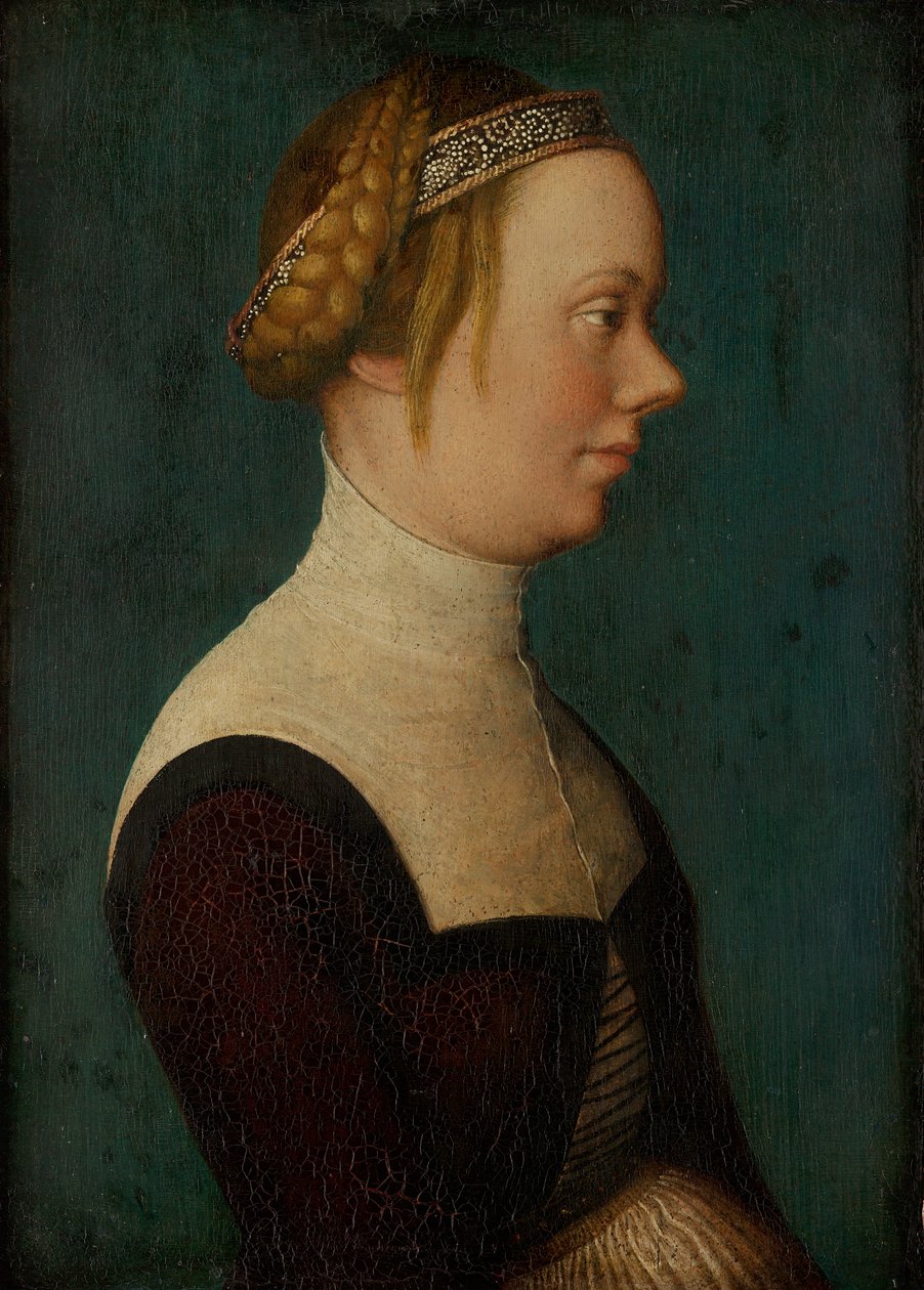 Retrato de mujer de Hans Holbein the Elder