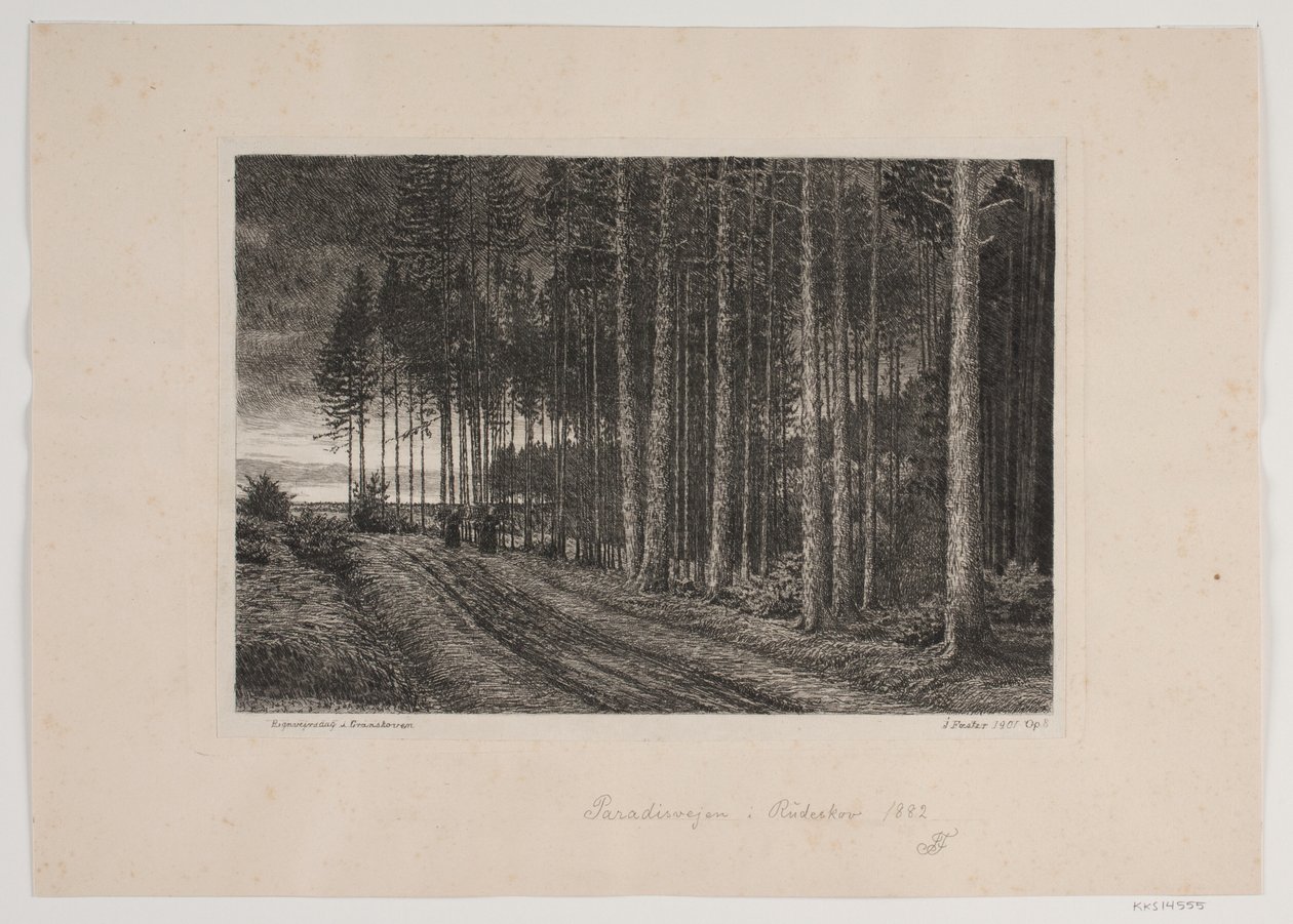 Día de lluvia en el bosque de abetos de Hans Julius Fæster