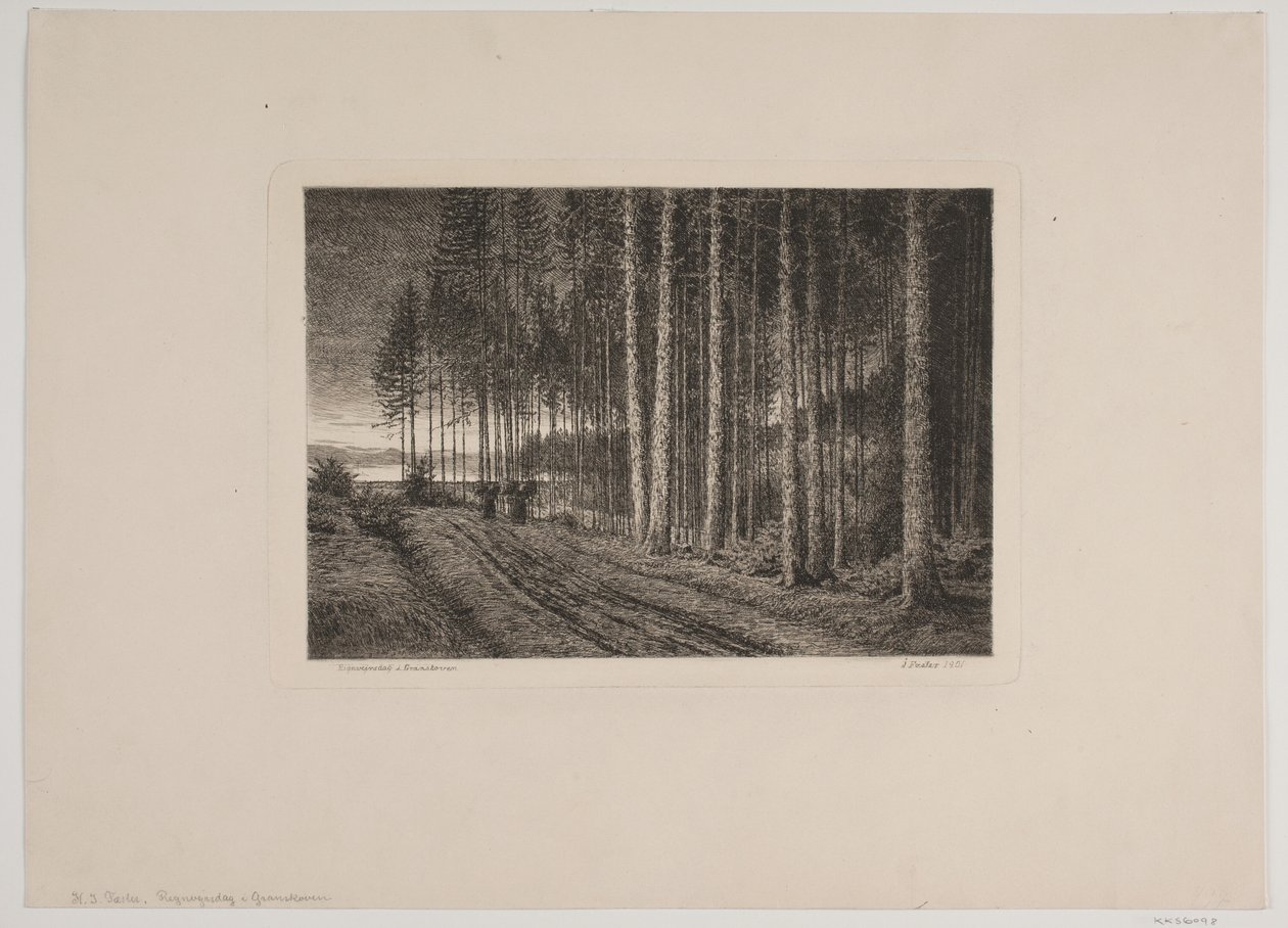 Día de lluvia en el bosque de abetos de Hans Julius Fæster