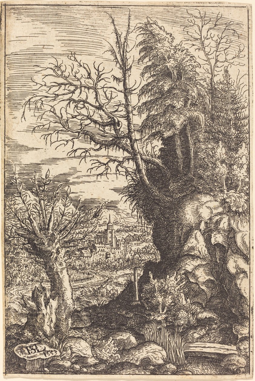 Paisaje con un sauce, 1553 de Hans Sebald Lautensack