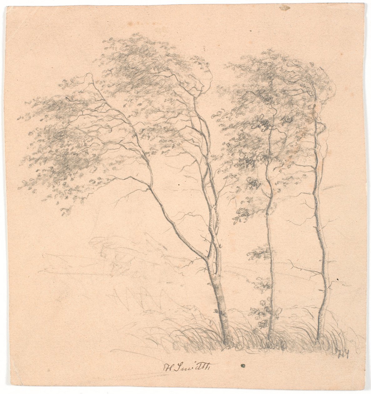 Tres árboles de Hans Smidth