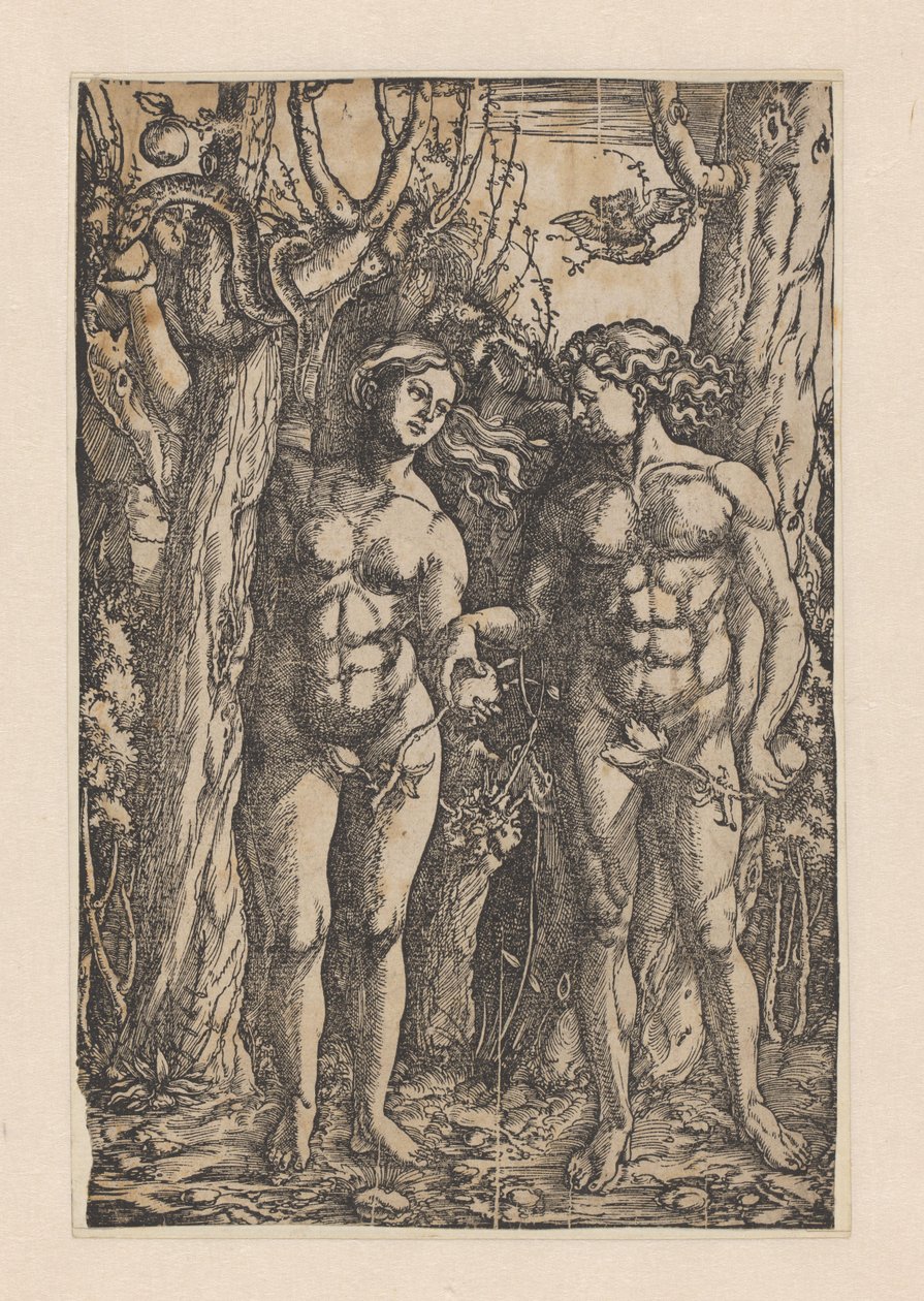 La caída de Hans Springinklee