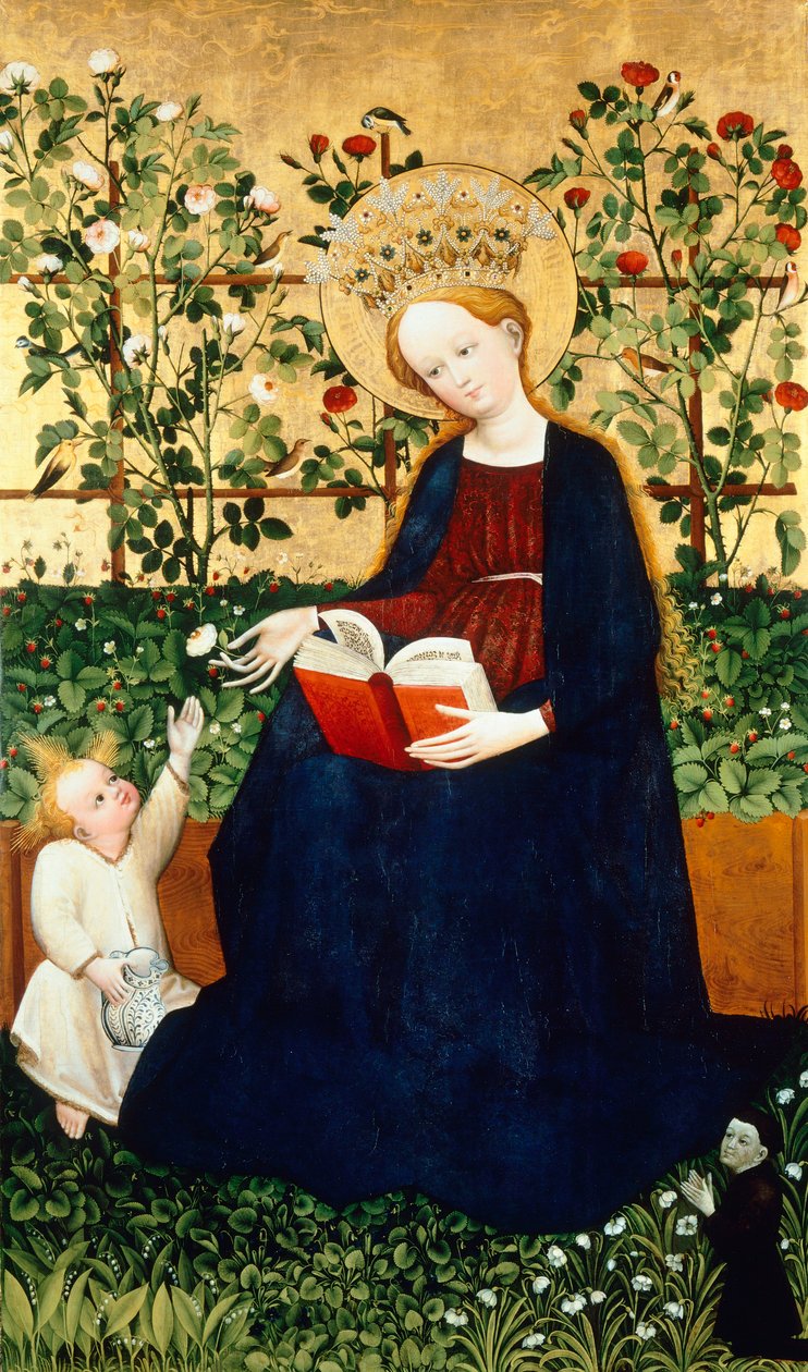 Las fresas Virgen de Hans Tieffenthal