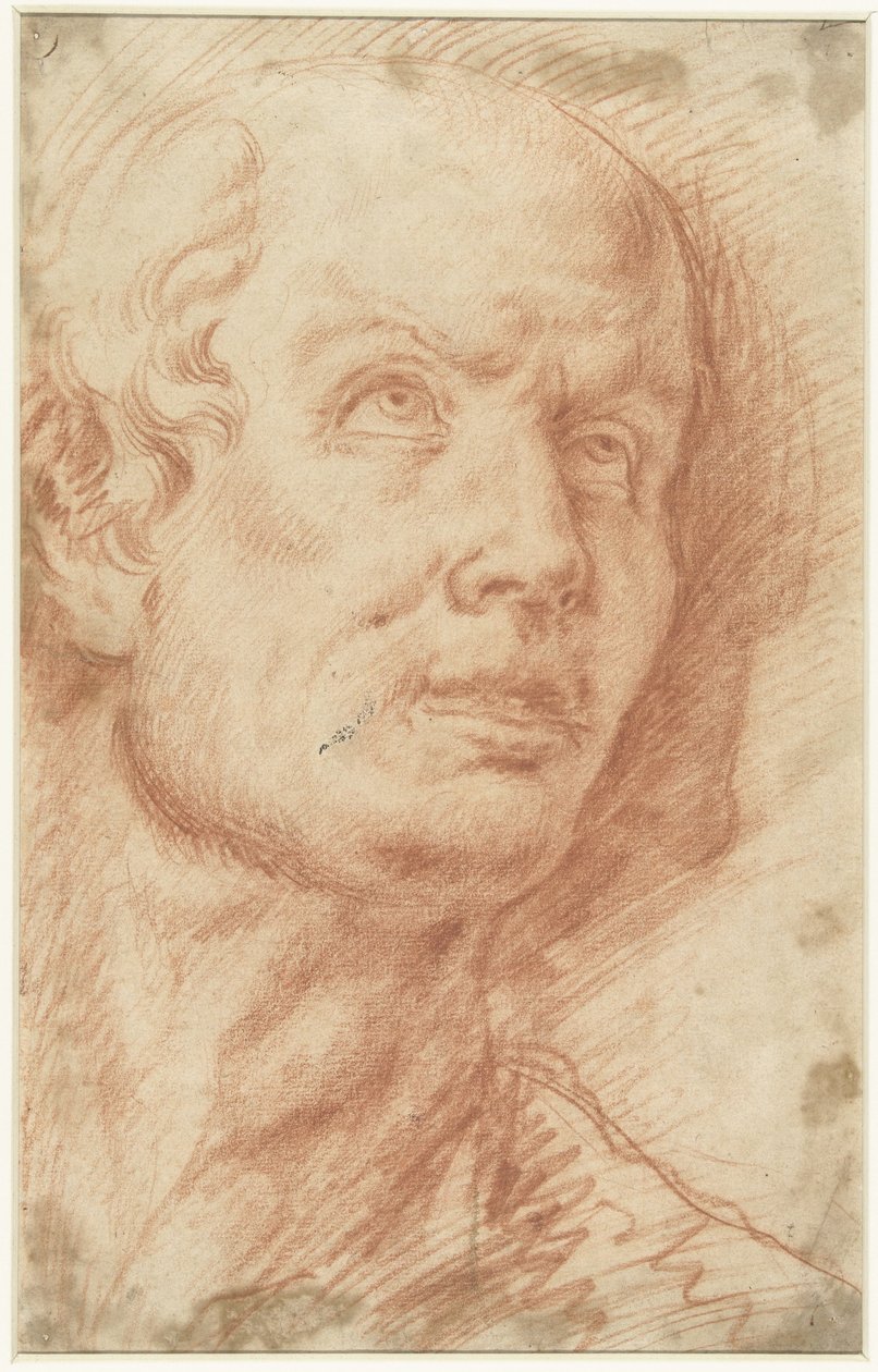 Cabeza de hombre con la mirada hacia arriba de Hans Troschel (possibly)