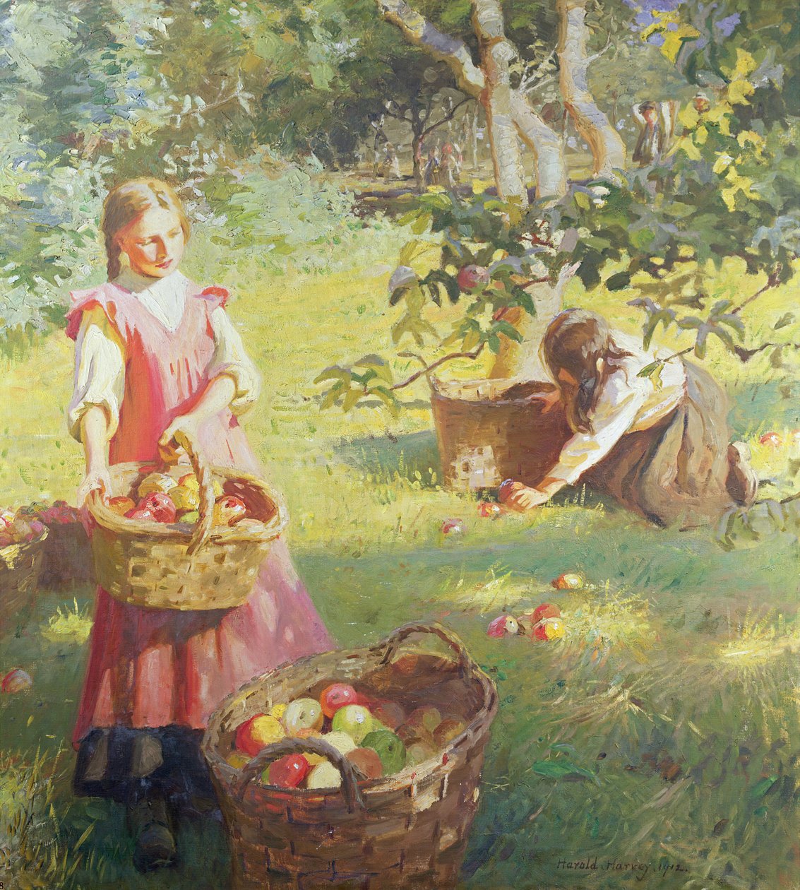 Manzanas de Harold Harvey