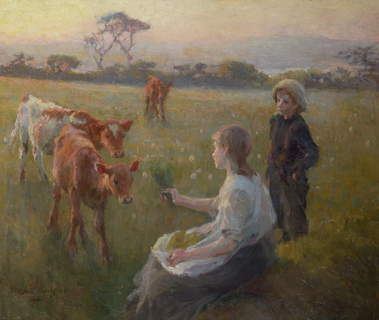 Alimentar a los terneros de Harold Harvey