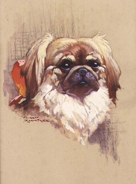 Cinta roja de Harry Rountree