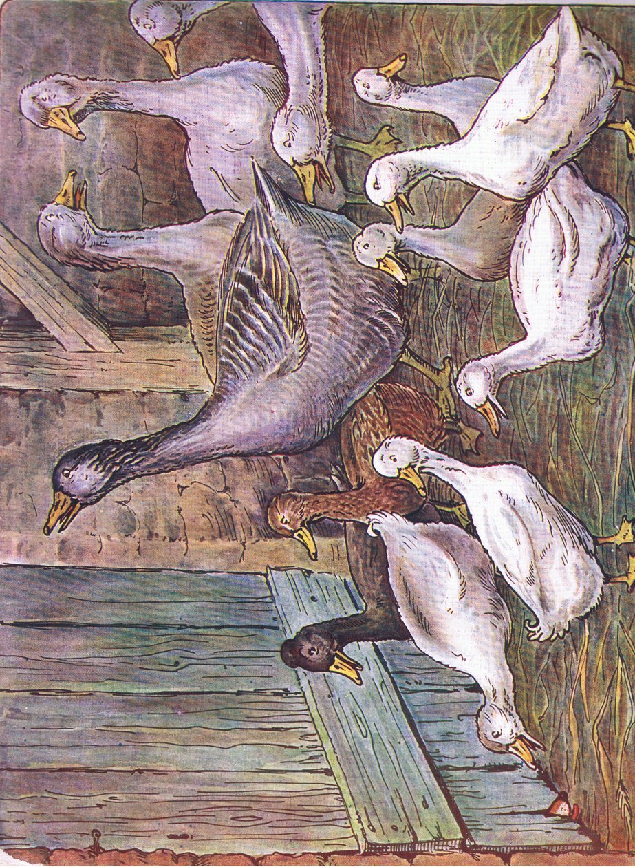 Por qué lo declaro, 1920 de Harry B Neilson