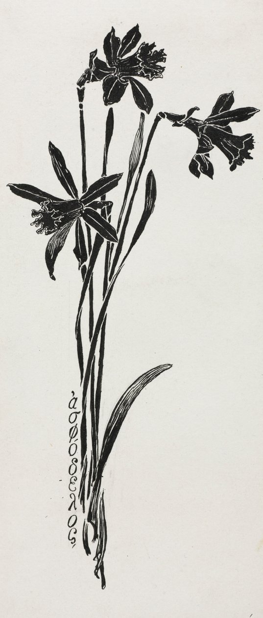 Narcisos de Harry Fenn
