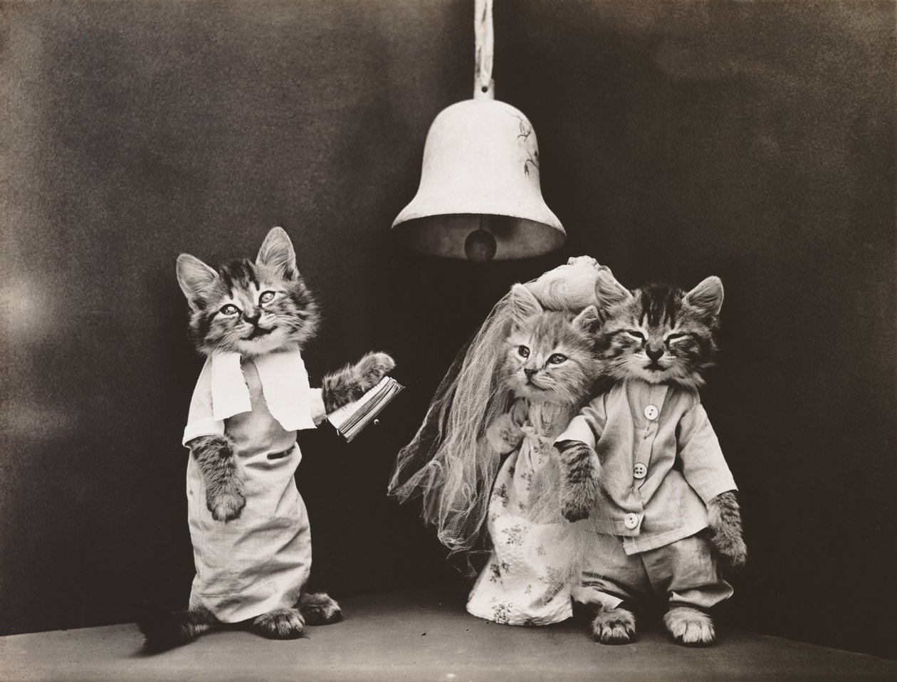 Serie Gatitos: Boda, c.1914 (grabado en plata) de Harry Whittier Frees