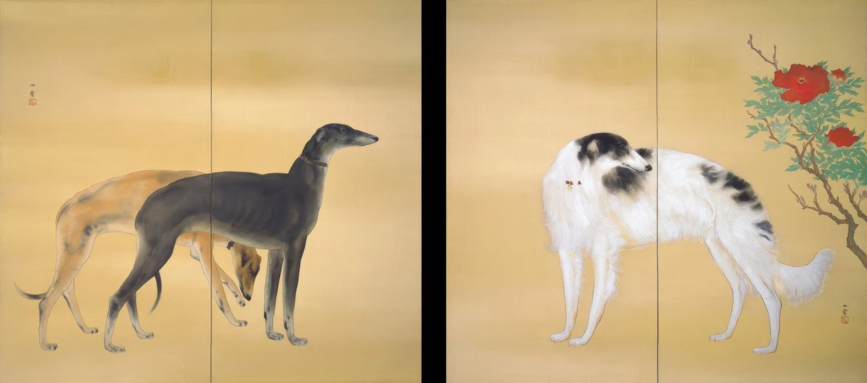 Hashimoto Kansetsu, perros europeos de Hashimoto Kansetsu