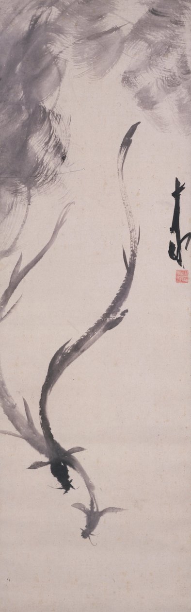 Anguilas de Hayashi Jikko