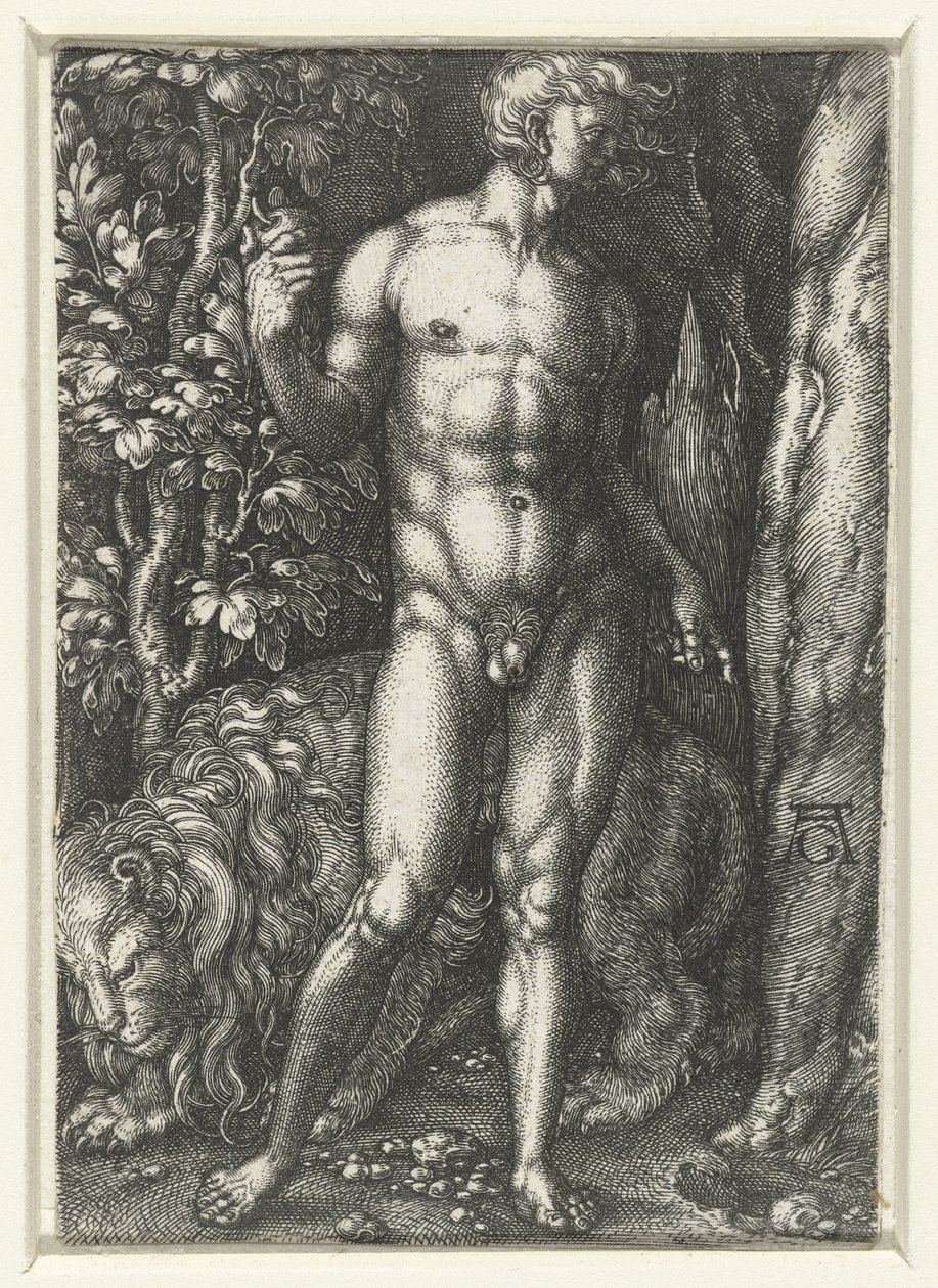 Adán de Heinrich Aldegrever
