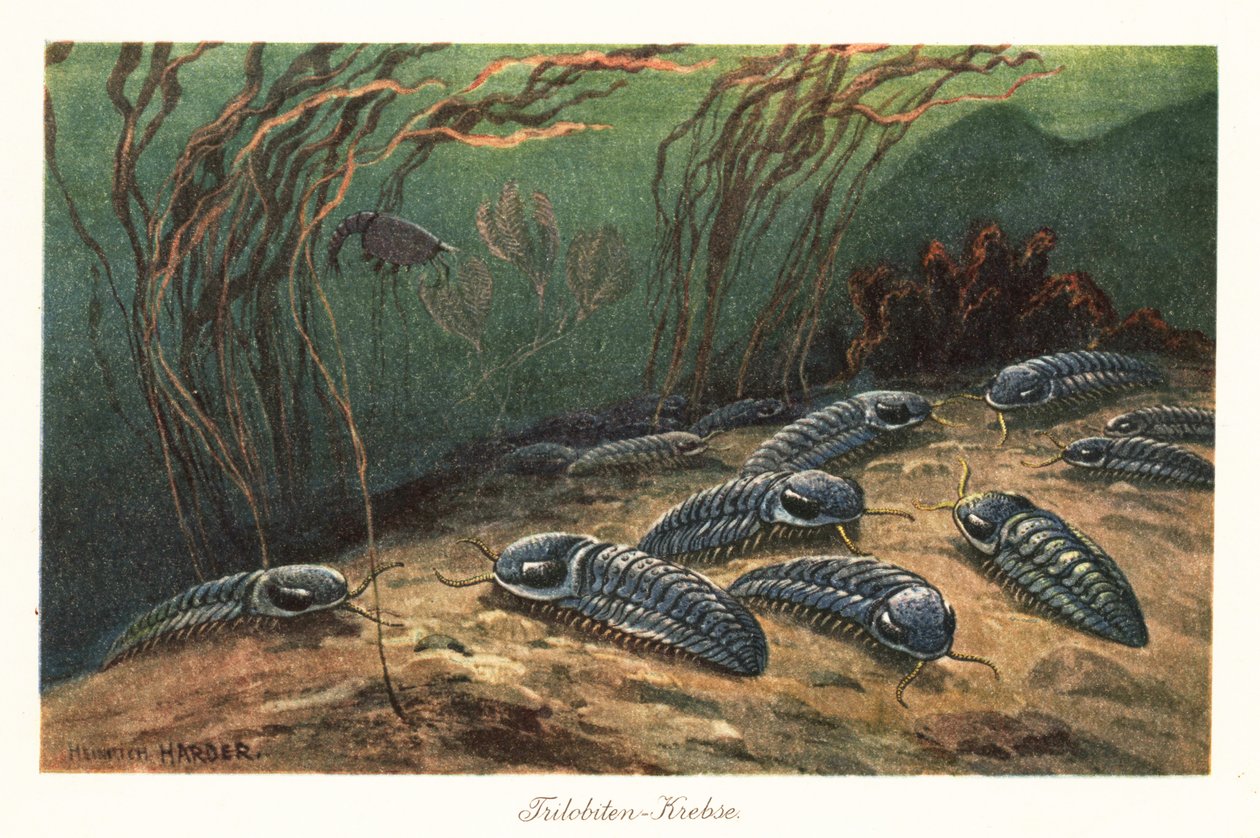 Trilobites extintos en el fondo del océano. de Heinrich Harder