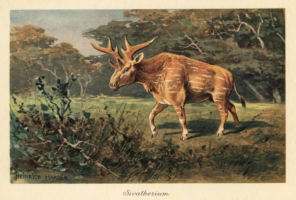 Sivatherium giganteum en un claro de la selva. de Heinrich Harder